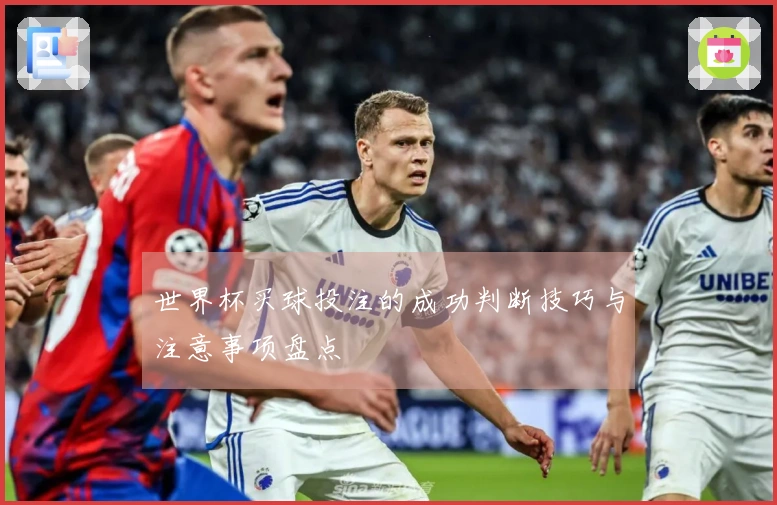 世界杯买球投注的成功判断技巧与注意事项盘点