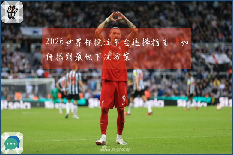 2026世界杯投注平台选择指南，如何找到最优下注方案