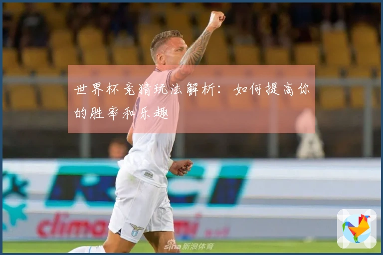世界杯竞猜玩法解析：如何提高你的胜率和乐趣