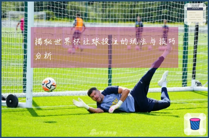 揭秘世界杯让球投注的玩法与技巧分析